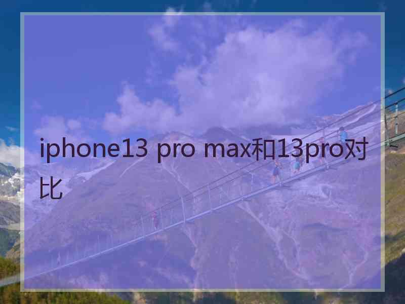 iphone13 pro max和13pro对比