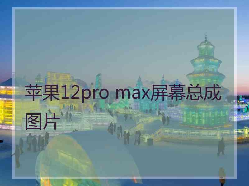 苹果12pro max屏幕总成图片