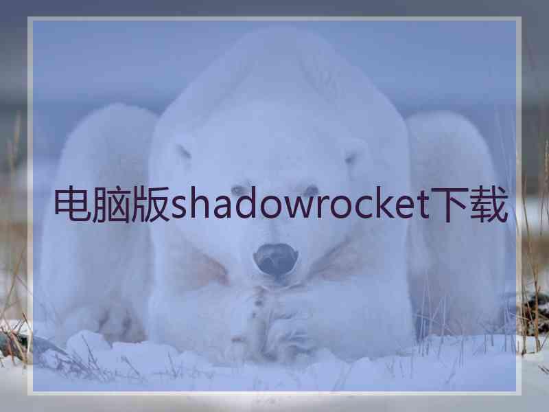 电脑版shadowrocket下载