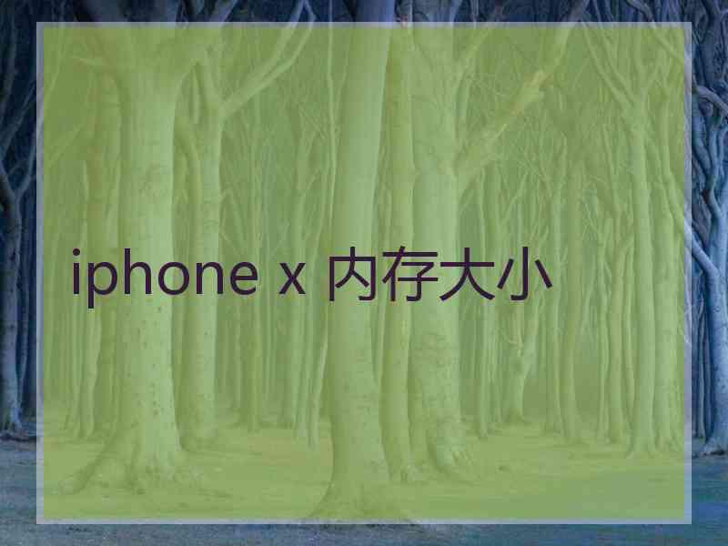 iphone x 内存大小