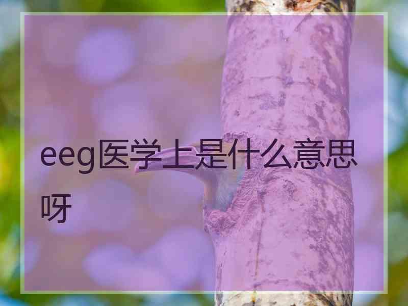 eeg医学上是什么意思呀