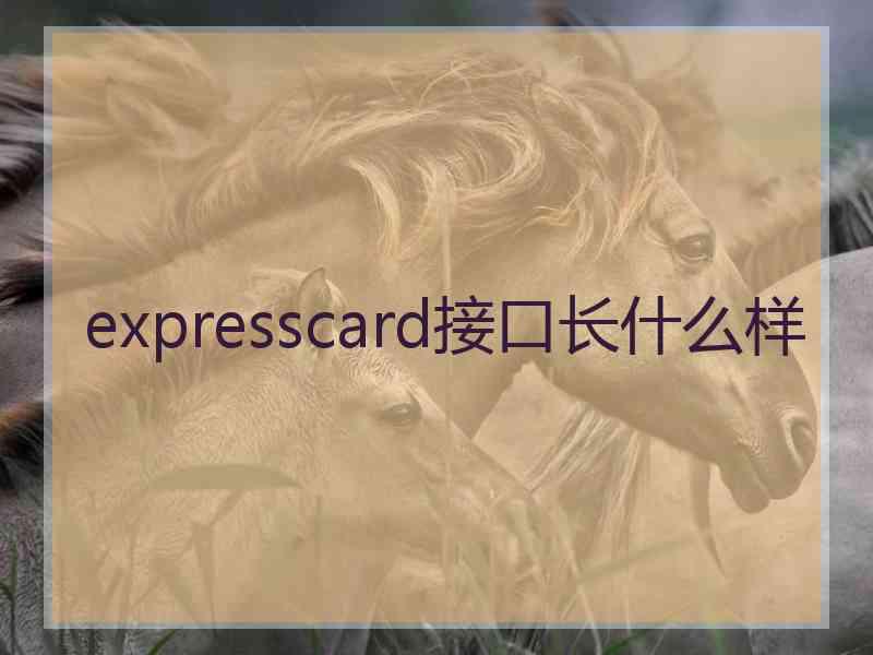 expresscard接口长什么样