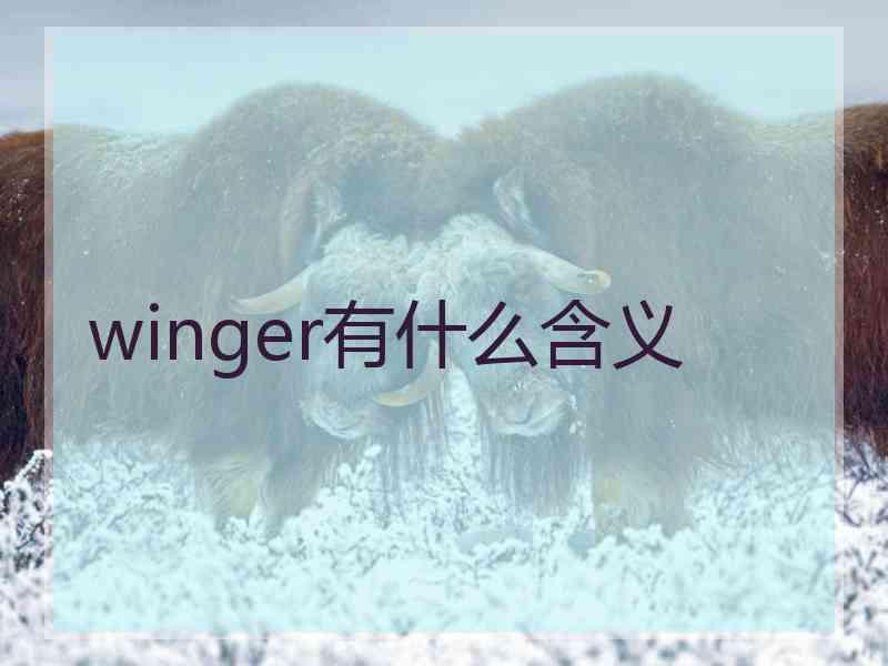 winger有什么含义