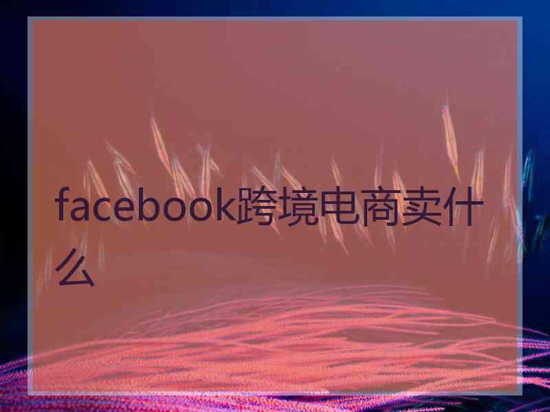 facebook跨境电商卖什么