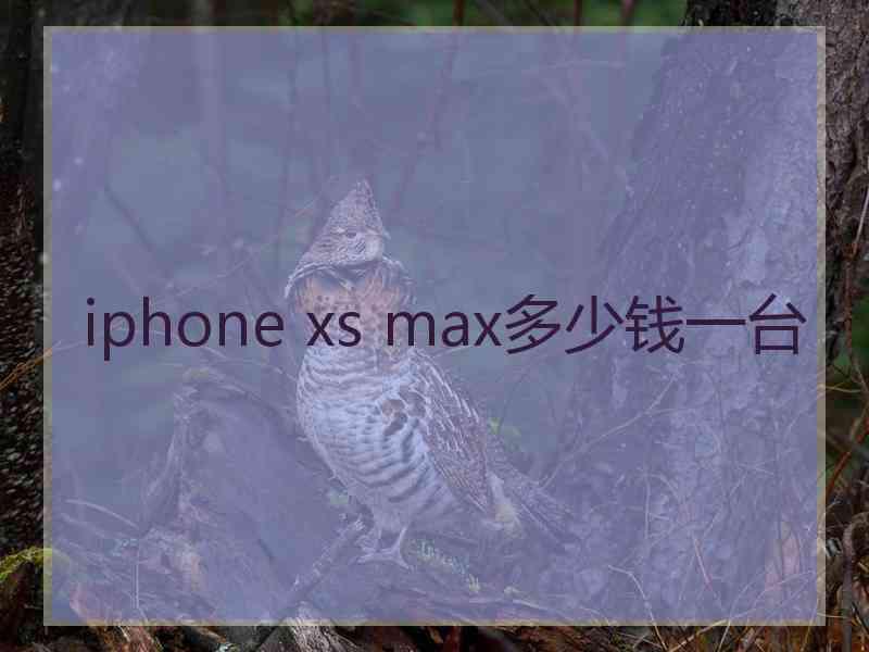 iphone xs max多少钱一台