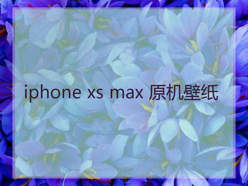 iphone xs max 原机壁纸