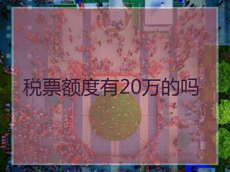 税票额度有20万的吗