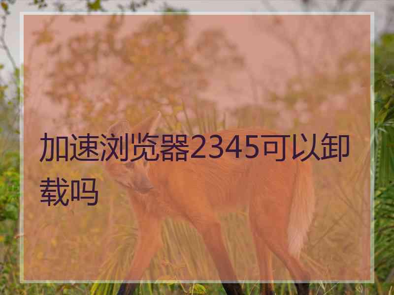 加速浏览器2345可以卸载吗