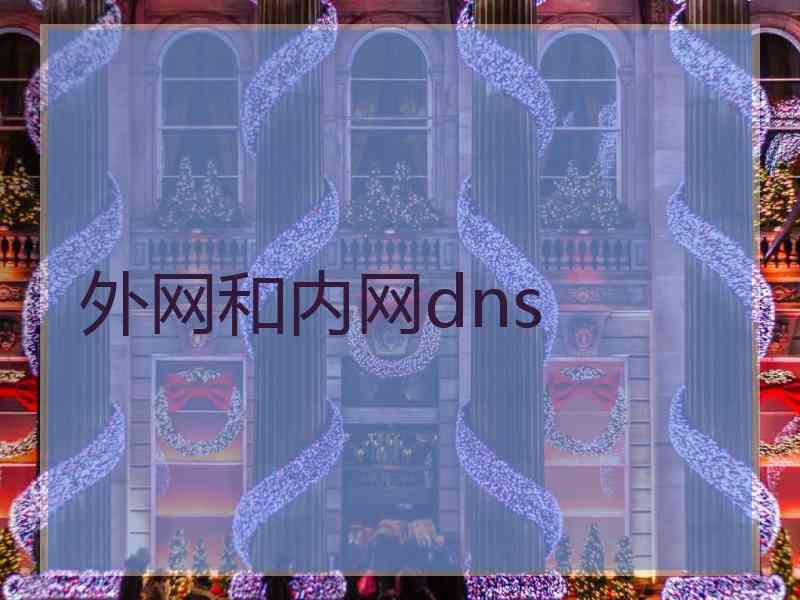 外网和内网dns