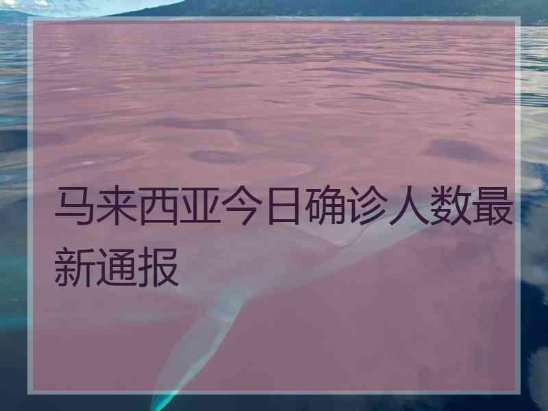 马来西亚今日确诊人数最新通报