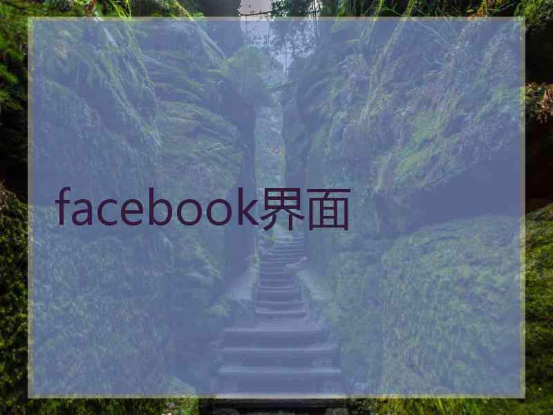 facebook界面