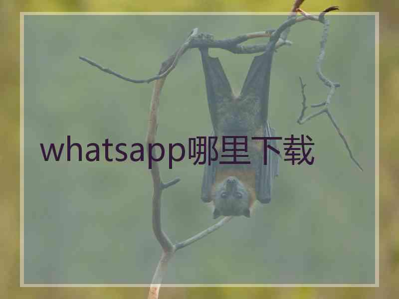 whatsapp哪里下载