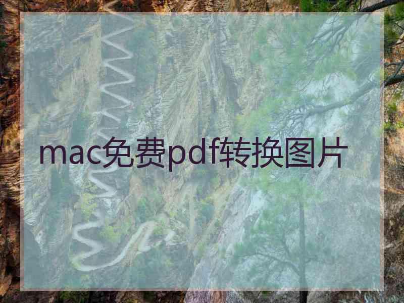 mac免费pdf转换图片