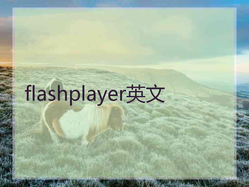 flashplayer英文