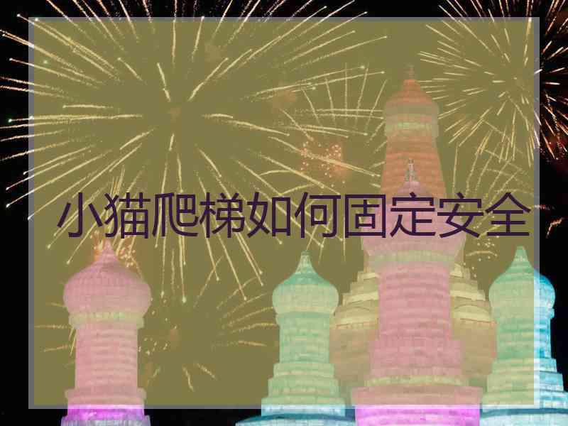 小猫爬梯如何固定安全