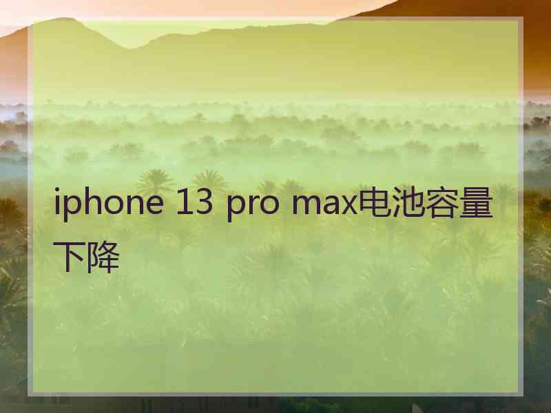 iphone 13 pro max电池容量下降