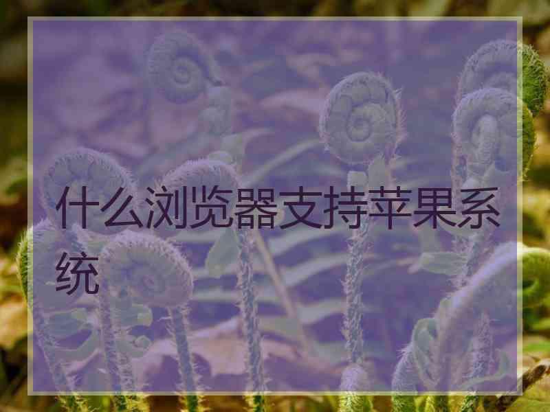 什么浏览器支持苹果系统