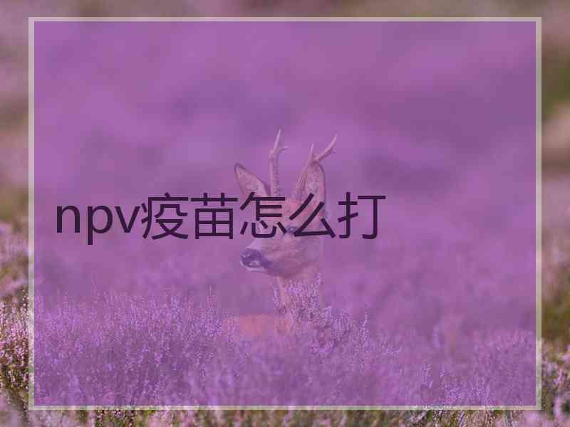 npv疫苗怎么打