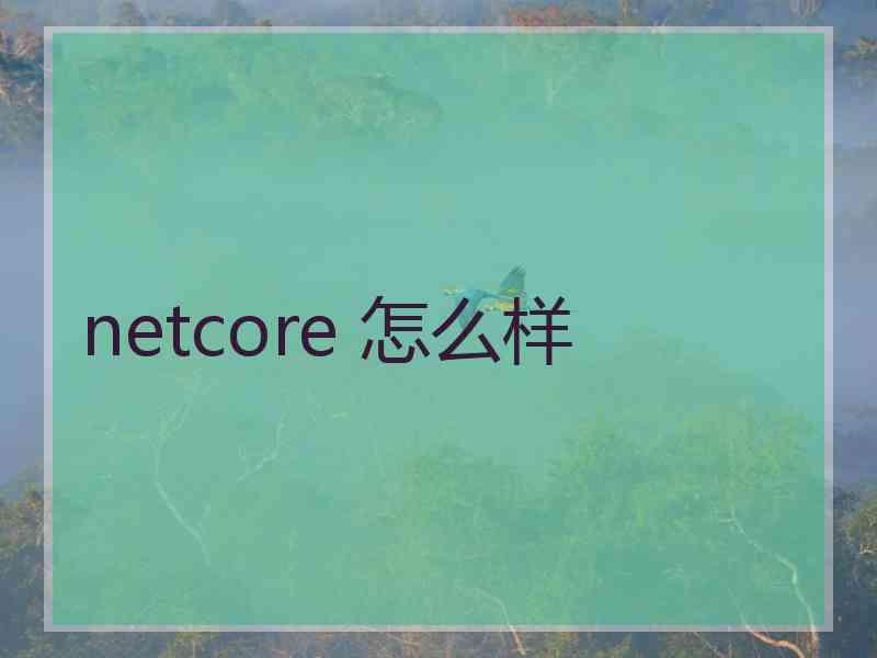 netcore 怎么样