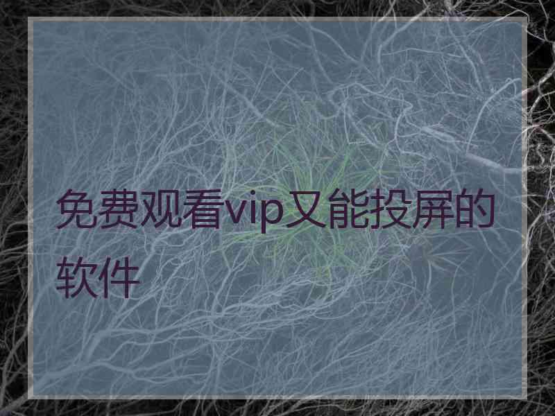 免费观看vip又能投屏的软件