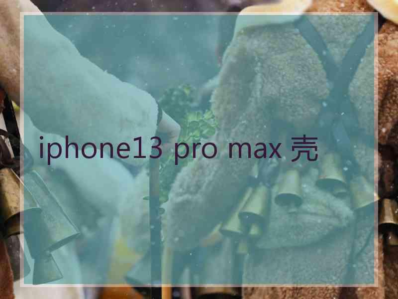 iphone13 pro max 壳