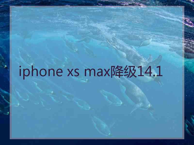 iphone xs max降级14.1