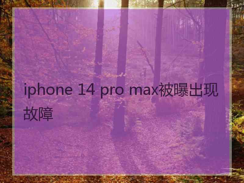 iphone 14 pro max被曝出现故障