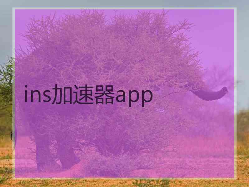 ins加速器app