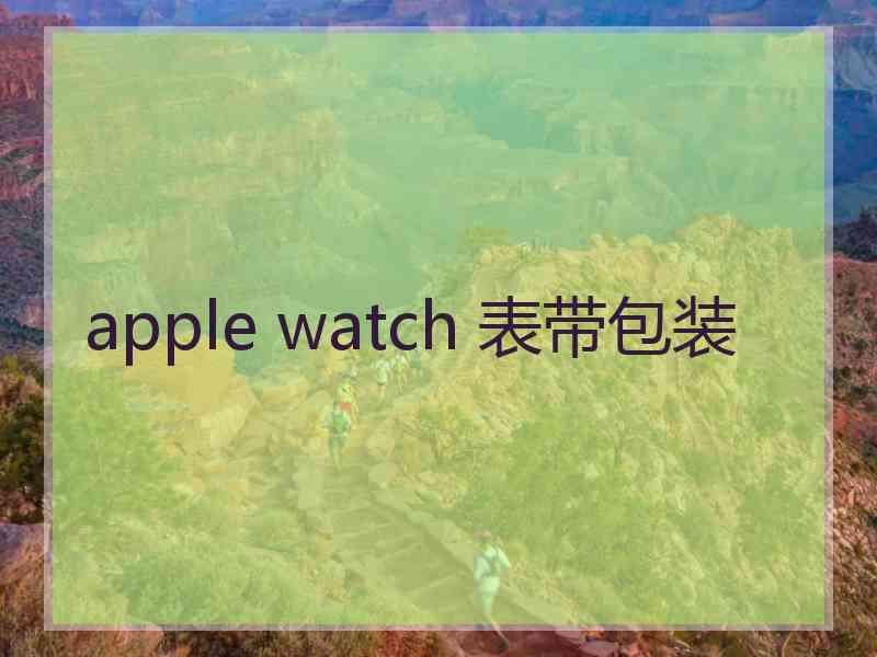 apple watch 表带包装