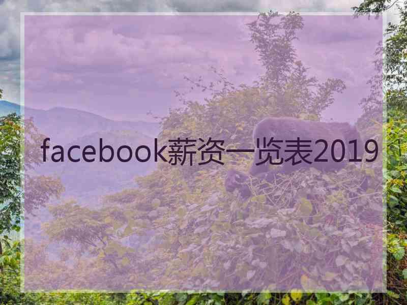 facebook薪资一览表2019