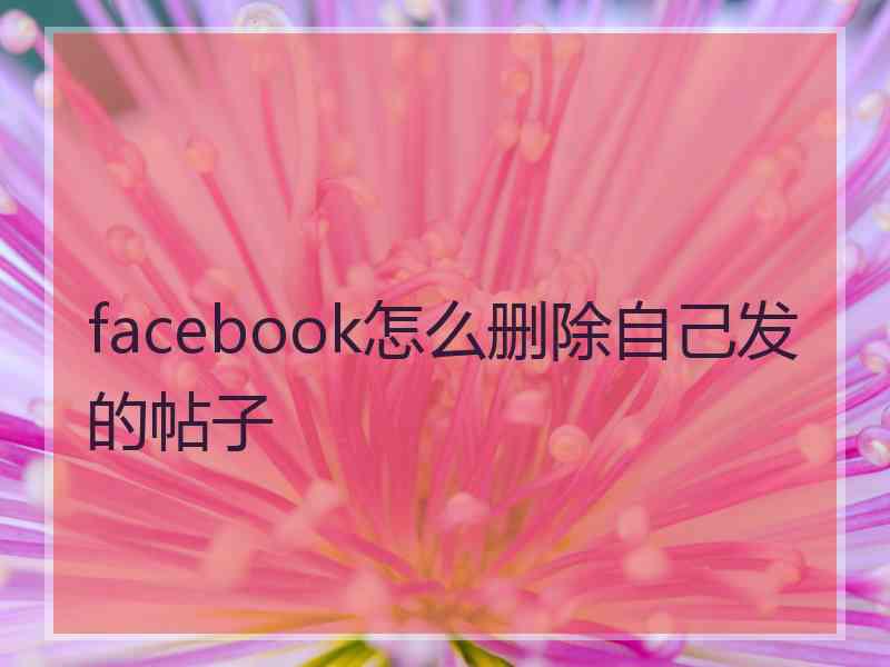 facebook怎么删除自己发的帖子