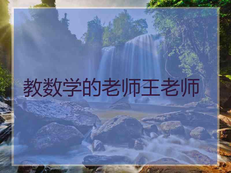 教数学的老师王老师