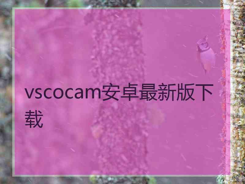 vscocam安卓最新版下载