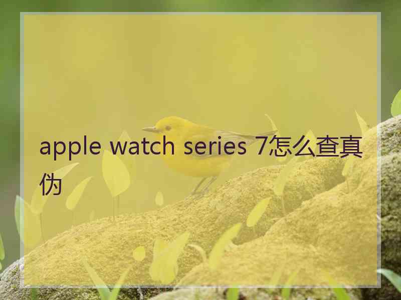 apple watch series 7怎么查真伪