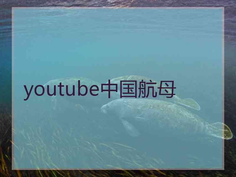 youtube中国航母