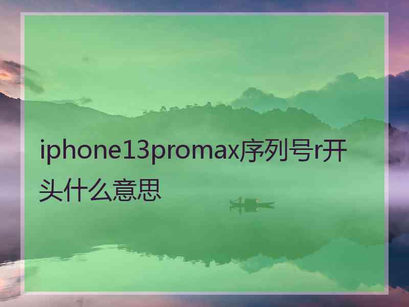 iphone13promax序列号r开头什么意思