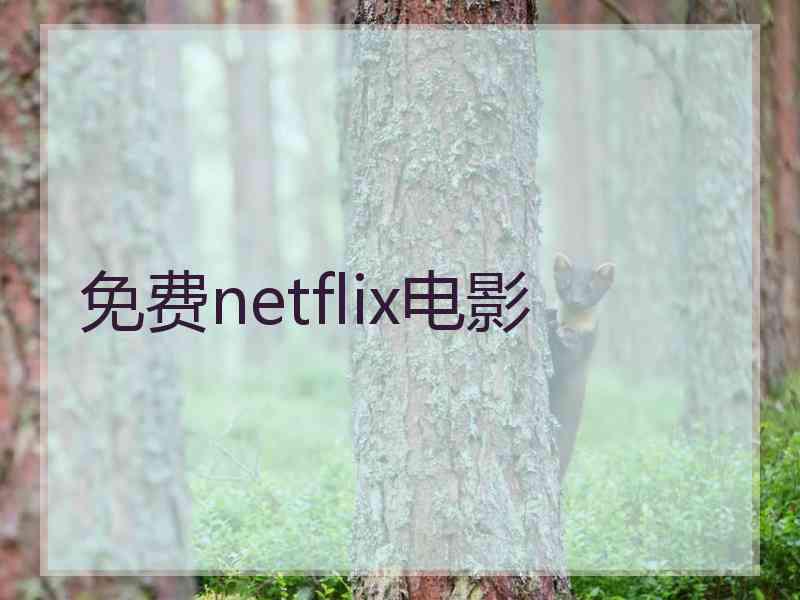 免费netflix电影