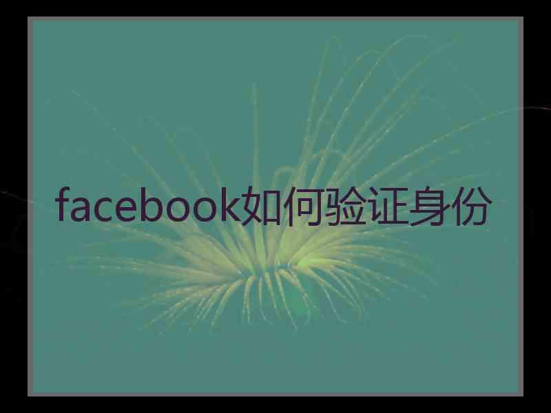 facebook如何验证身份