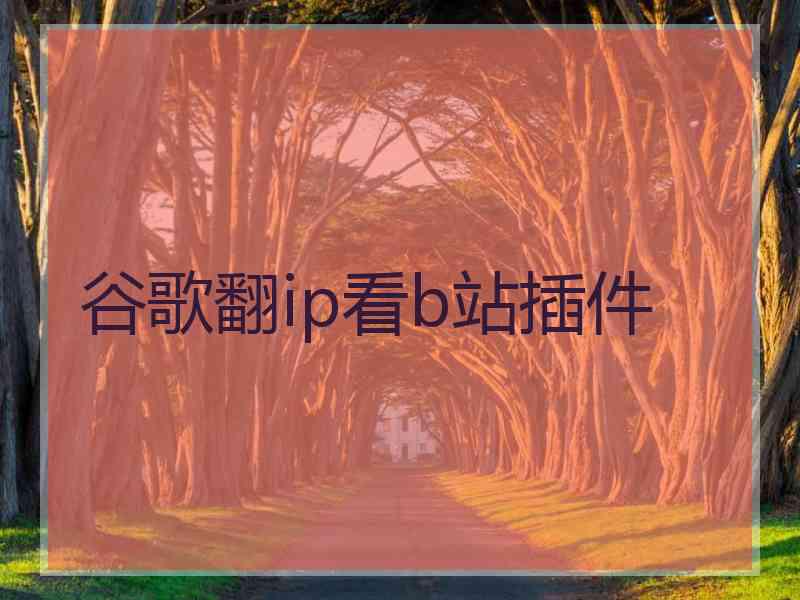 谷歌翻ip看b站插件