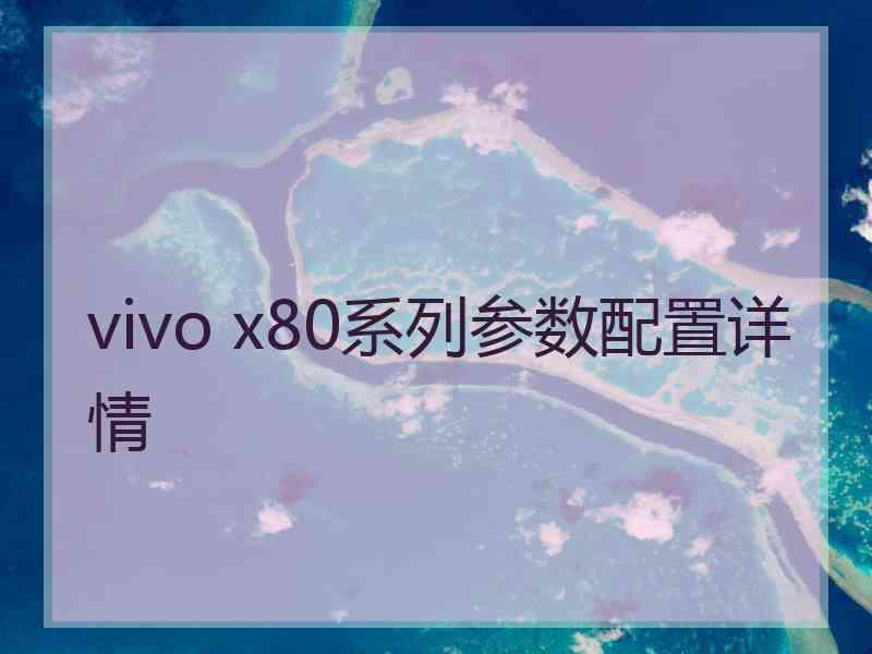 vivo x80系列参数配置详情