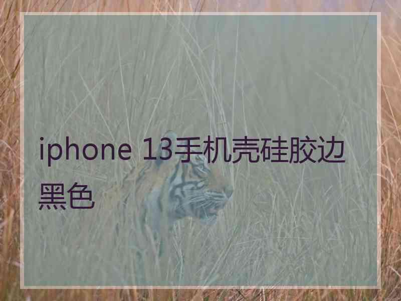 iphone 13手机壳硅胶边黑色