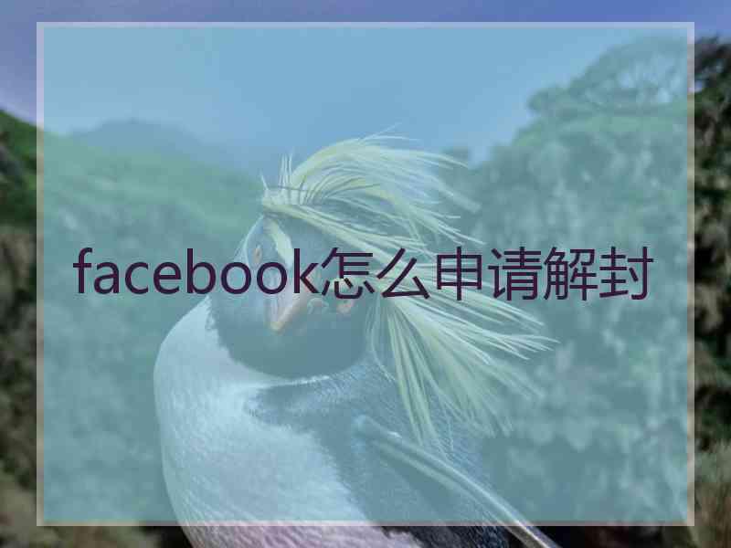 facebook怎么申请解封