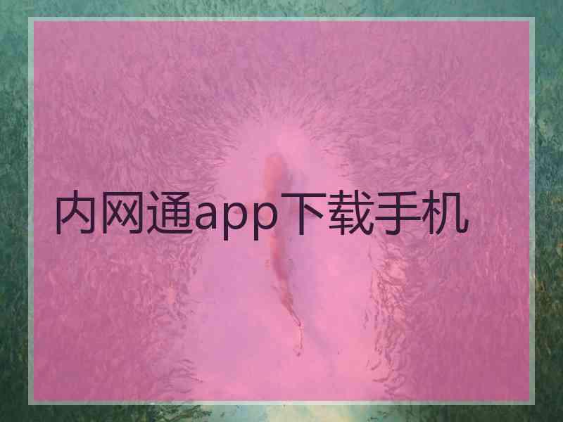 内网通app下载手机