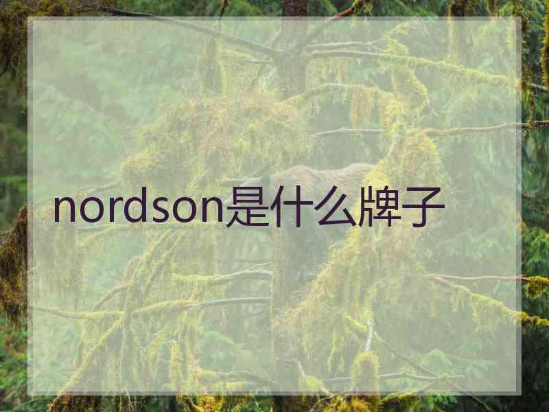 nordson是什么牌子