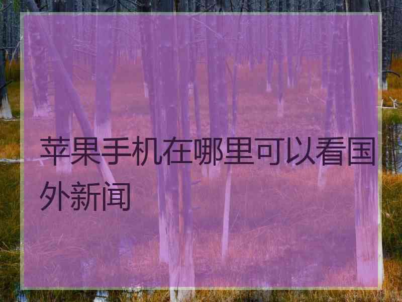 苹果手机在哪里可以看国外新闻