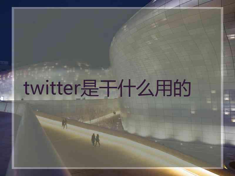 twitter是干什么用的