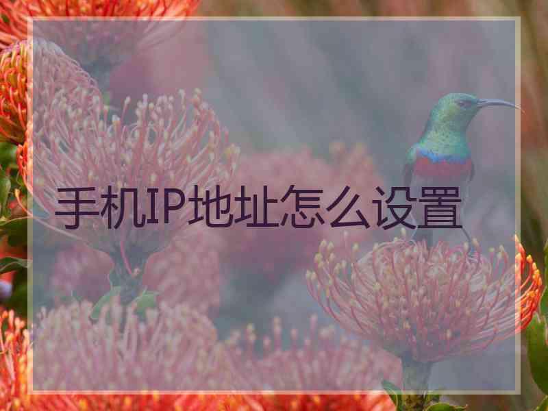 手机IP地址怎么设置