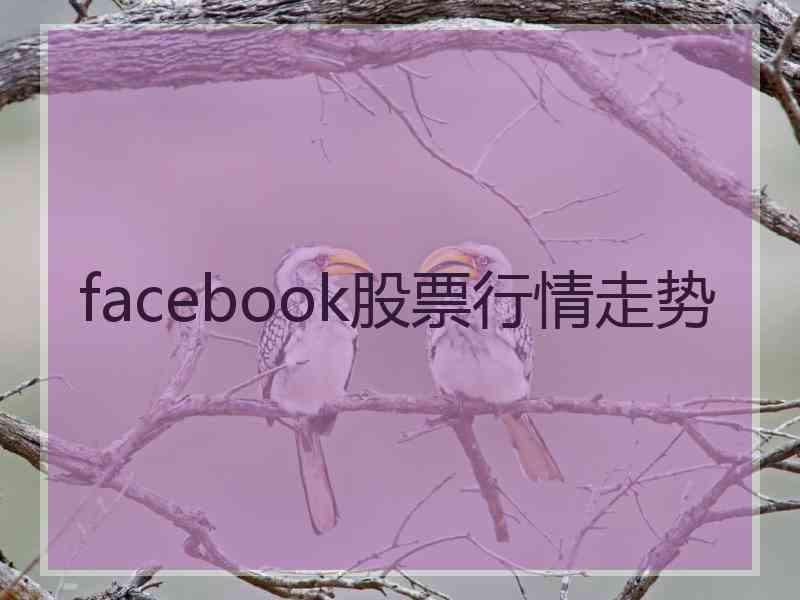 facebook股票行情走势