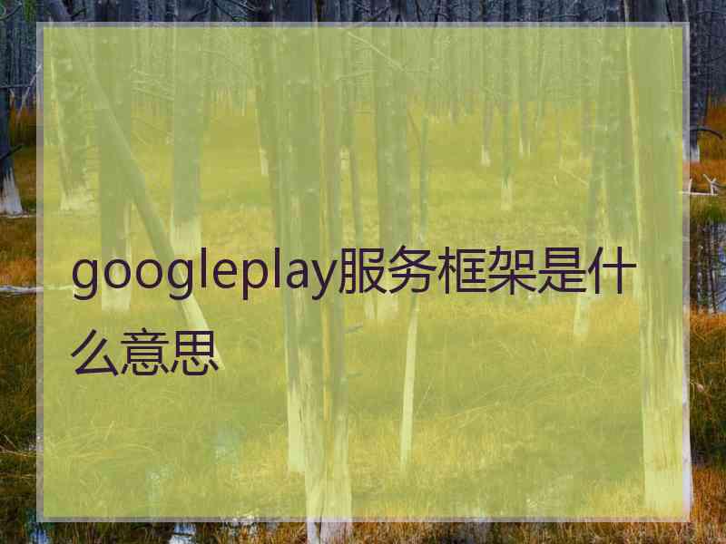 googleplay服务框架是什么意思