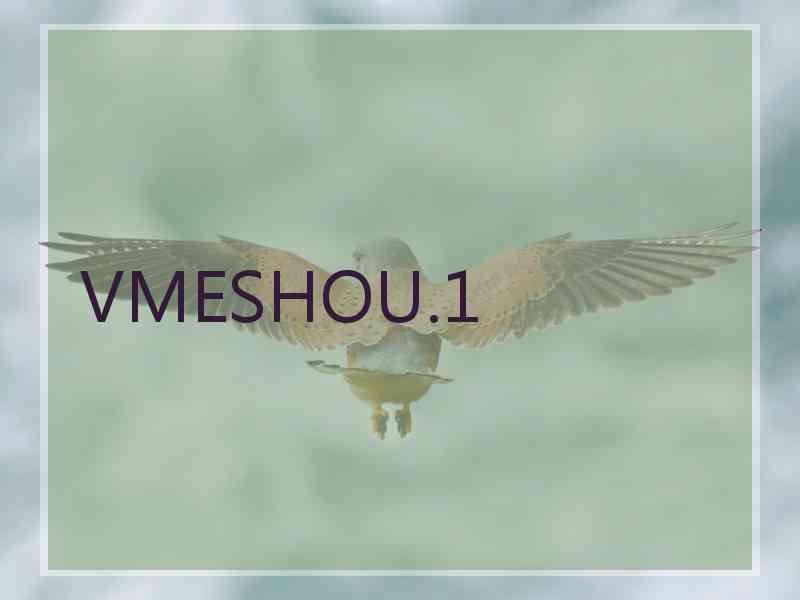 VMESHOU.1